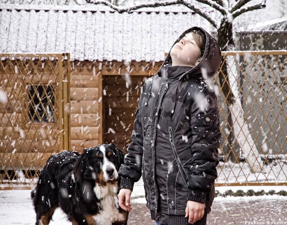 , Перхун Евгений