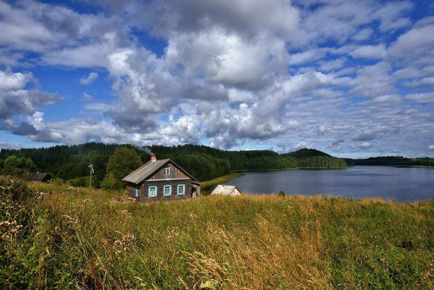 , Максим Евдокимов