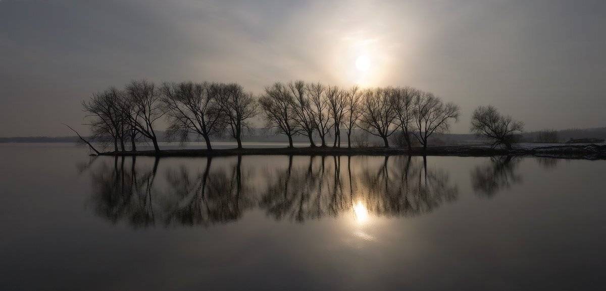 reflection, Михаил Трахтенберг