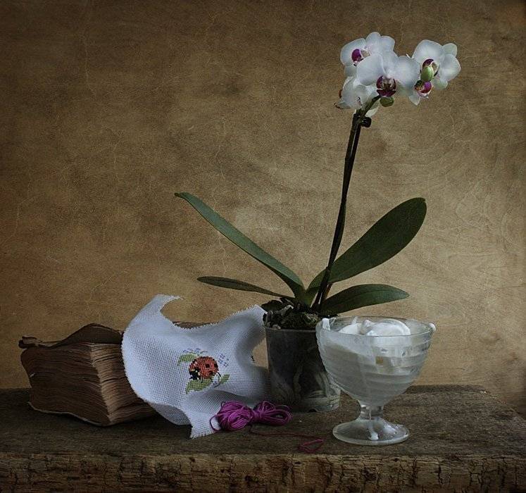 , Петрова Татьяна