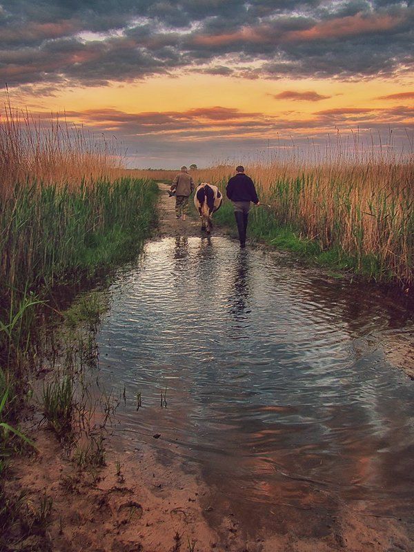 Cowboys фото превью