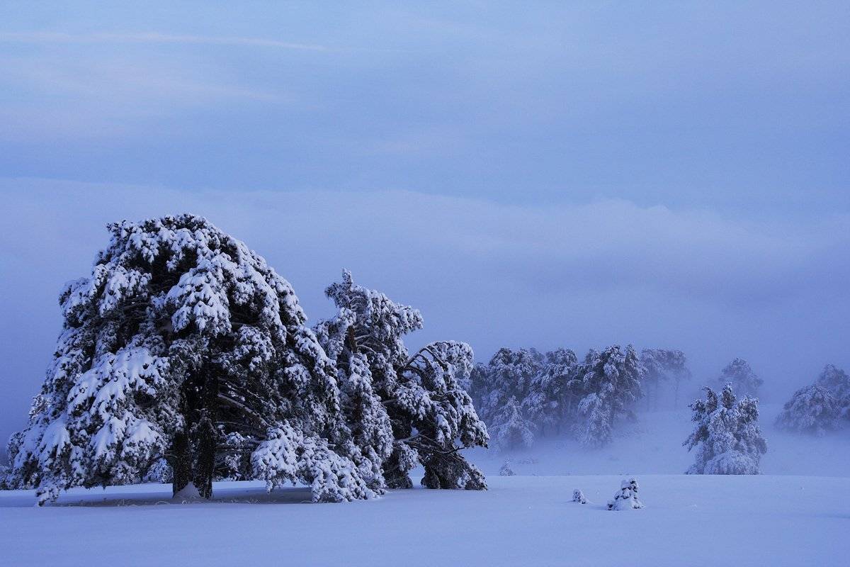 , Виталий Ра