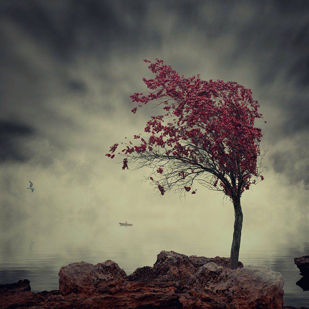 mist, fog, water, bird, cold, night, ocean, calm, dark, crow, storm, manipulation, photoshop, psd, cementary, raimbow, tutorials, Caras Ionut