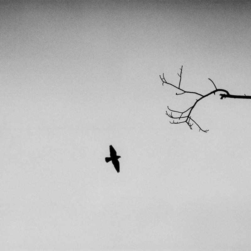 ... фото превью