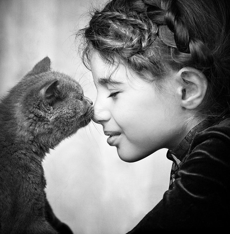 Sealed with a Kiss фото превью