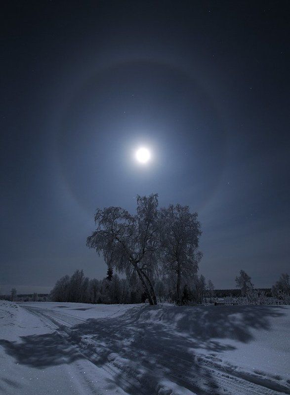 ночью морозной фото превью