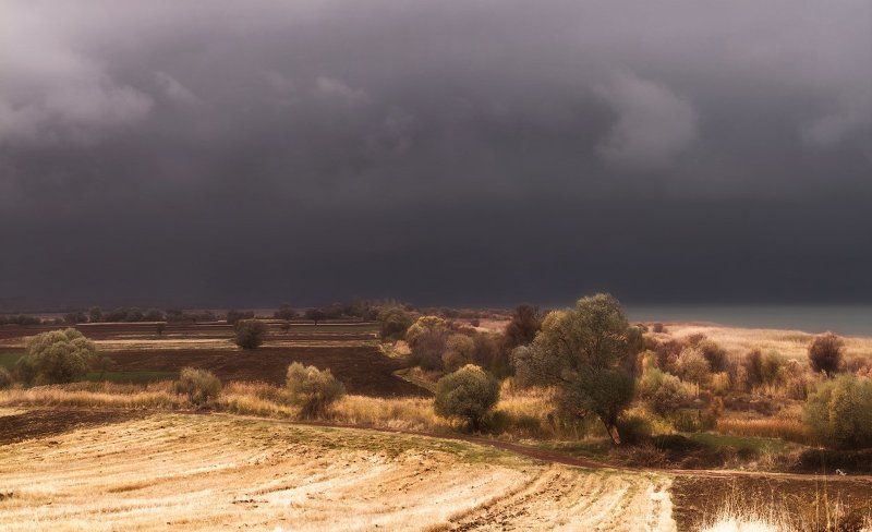 Перед грозой. фото превью