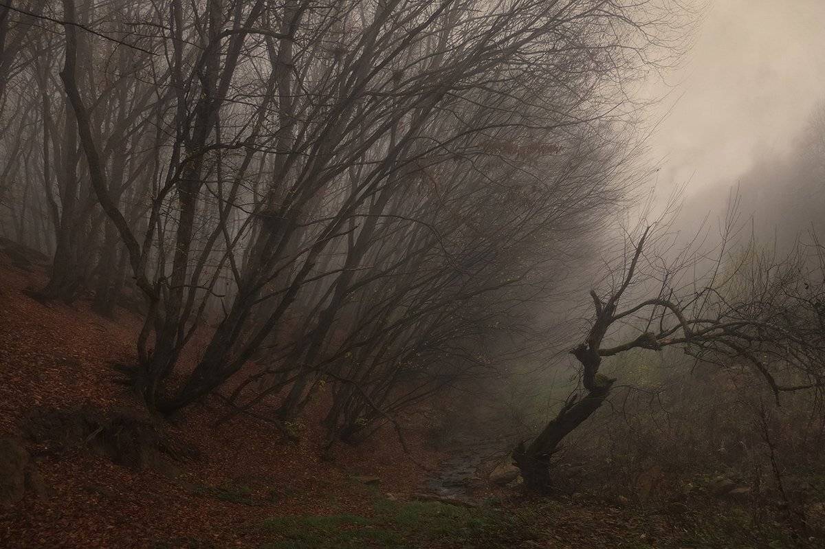 , Михаил  Пилипенко