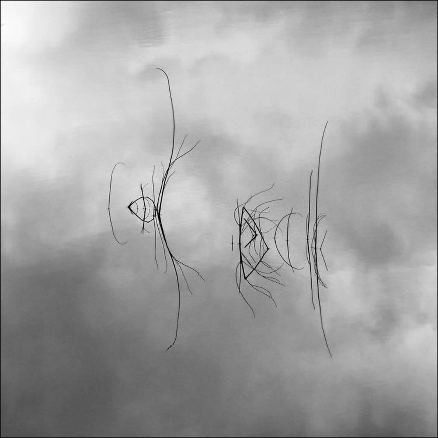 , Крицак Ольга