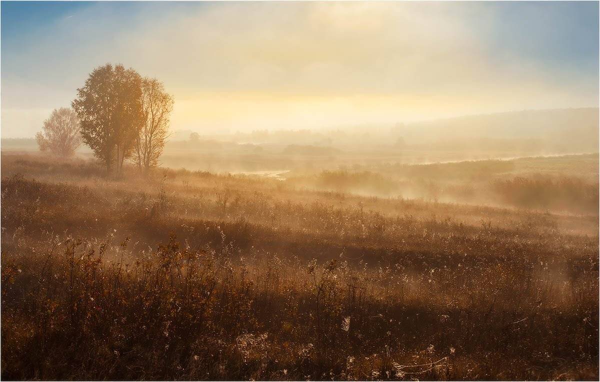 , Кутыгин Эдуард