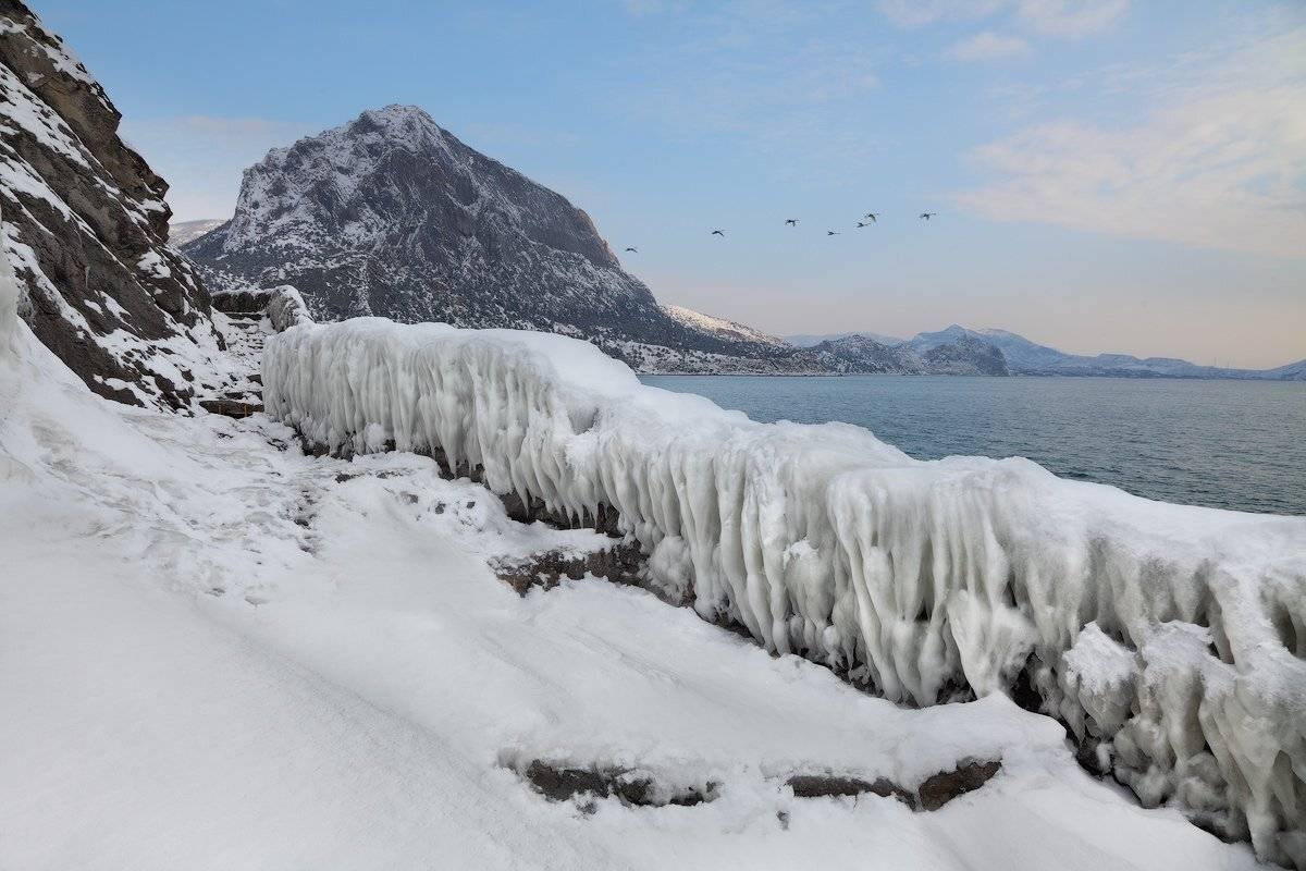 , Михаил Псарёв