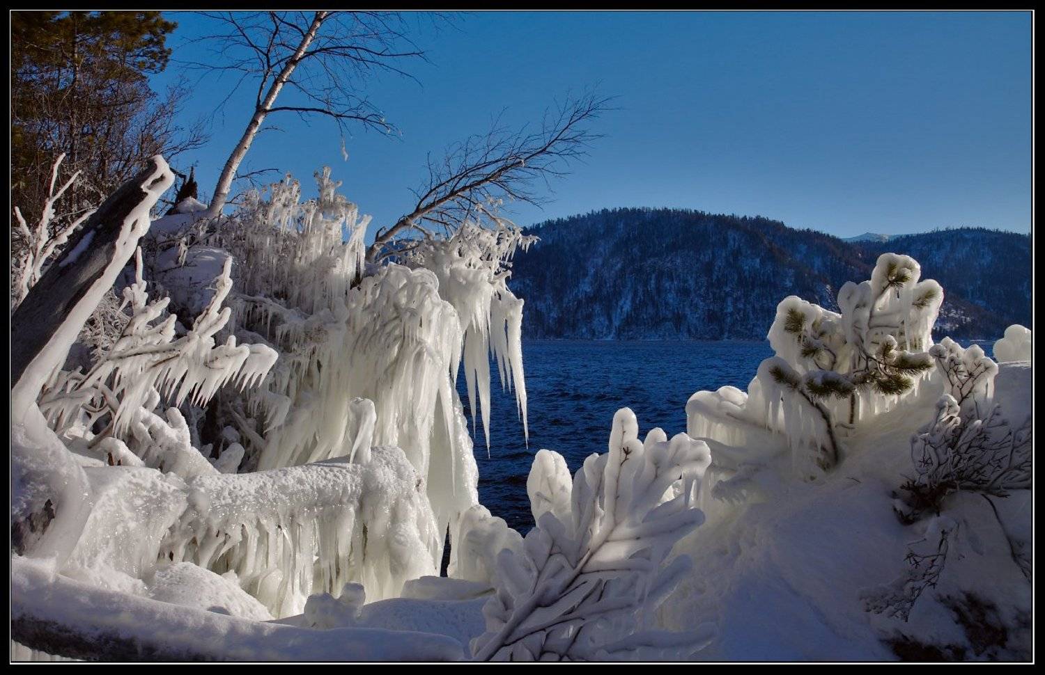 , Юрий Фролов