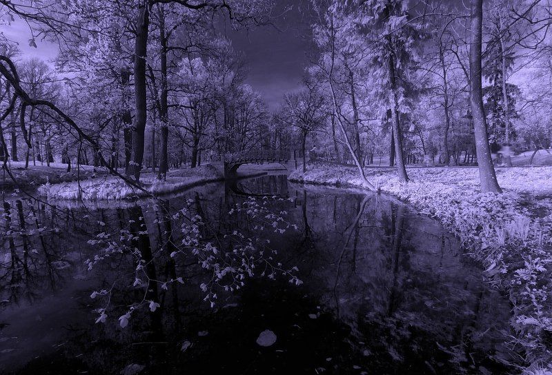 красивый, красота, облака, окрестности, отдых, пейзаж, петербург, питер, пригород, природа, парк, прогулка, свет, спб, фото, гатчина, озеро, белое озеро, инфракрасный, infrared, небо, солнце, необычный, мистический, паранормальный, фантастический ~107~ фото превью