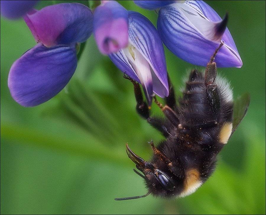 , Виктор Парщиков