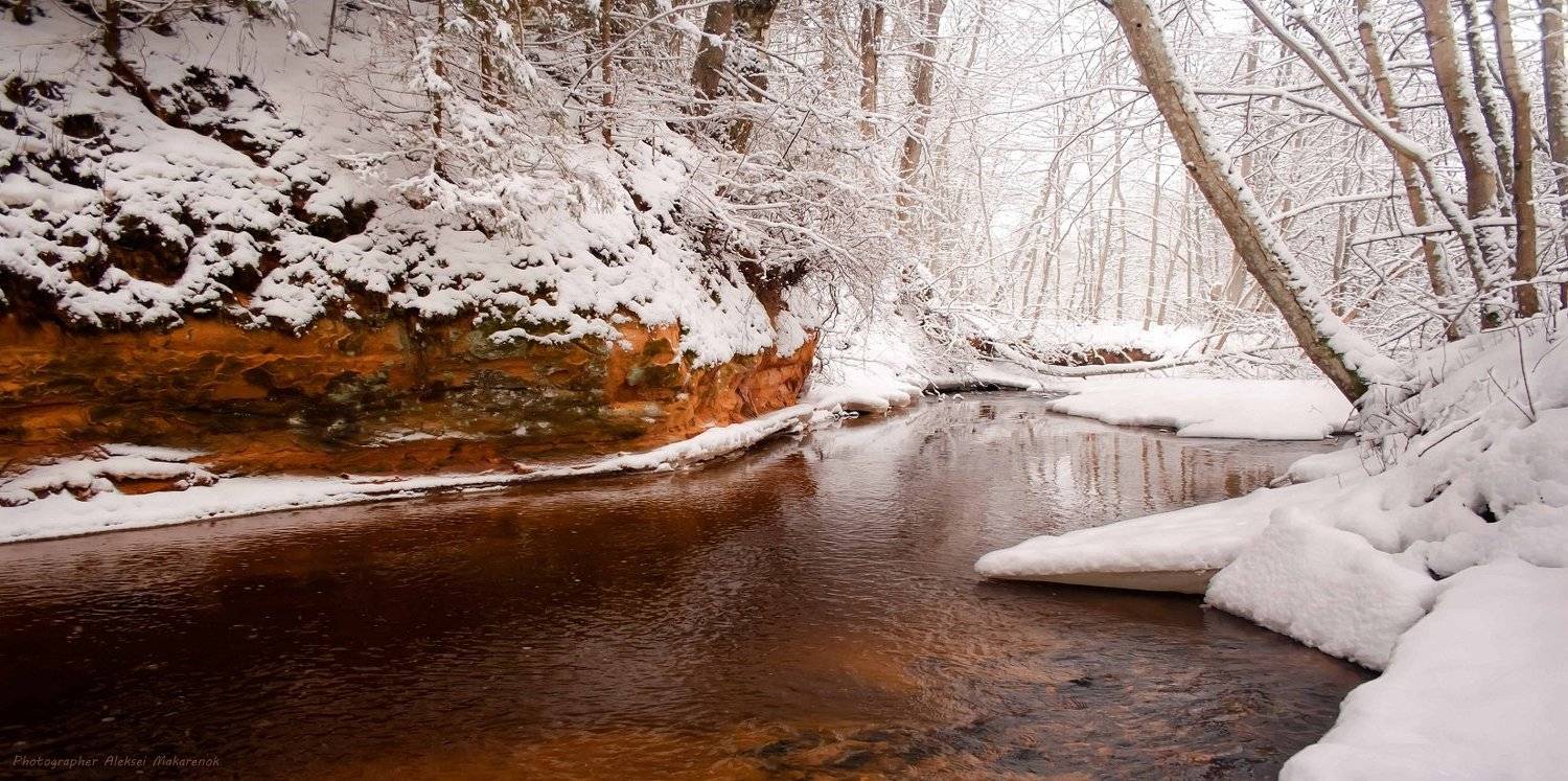 , ALEKSEI  MAKARENOK