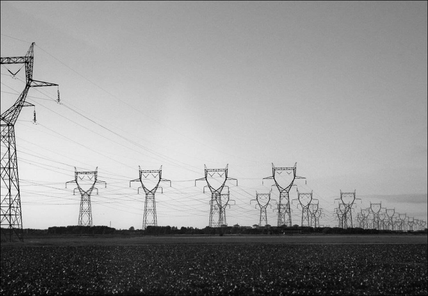 , Крицак Ольга