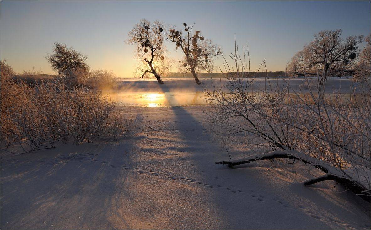 , Володимир Карчевський