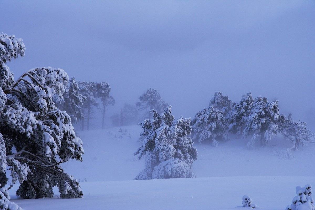 , Виталий Ра
