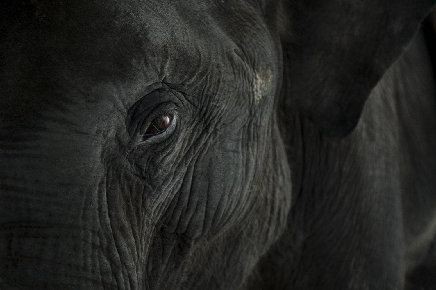 , Дмитрий Хохлов