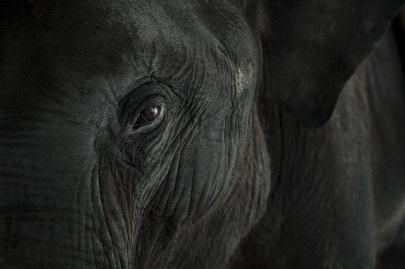 ... фото превью