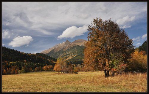 Однажды осенью...