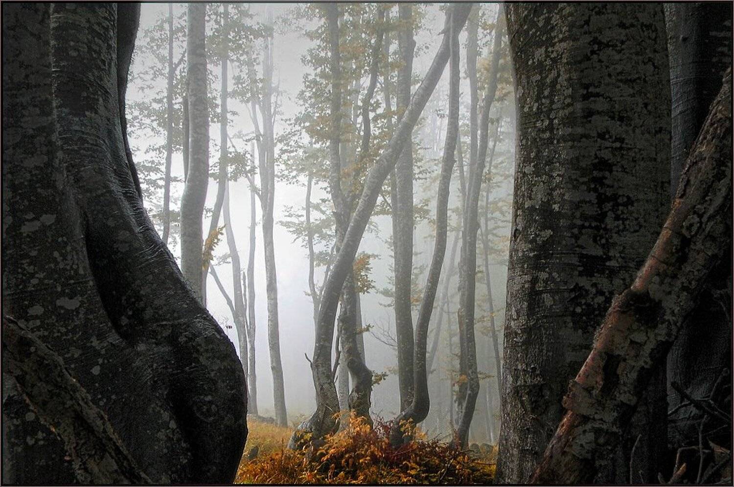 , Ирина Костова