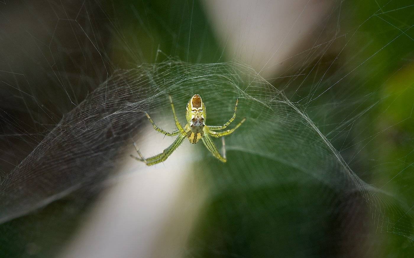 , Андрей Канышев