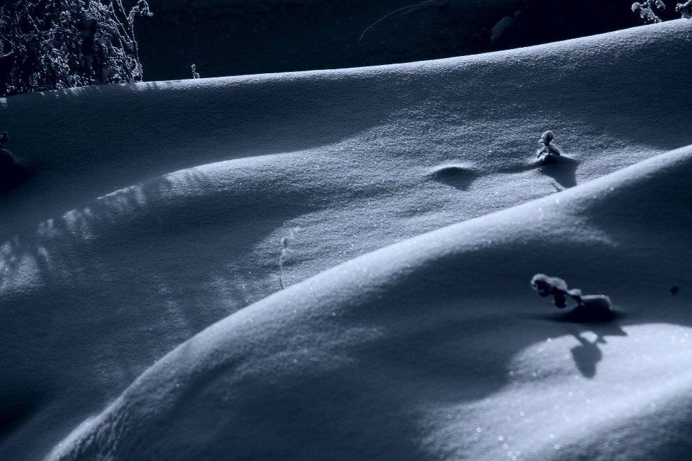 , Николай Морский