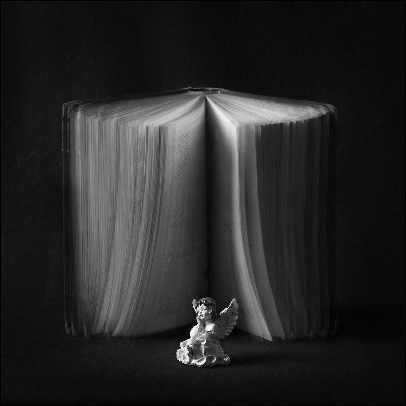 *** фото превью