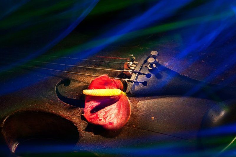 Плачет скрипка с ветром в лад фото превью