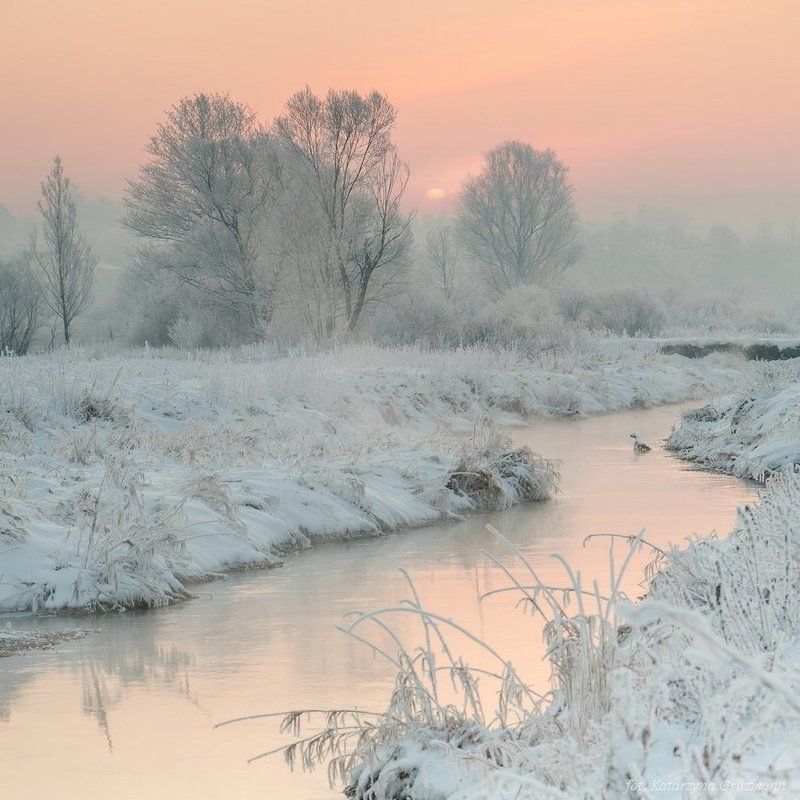 winter morning фото превью
