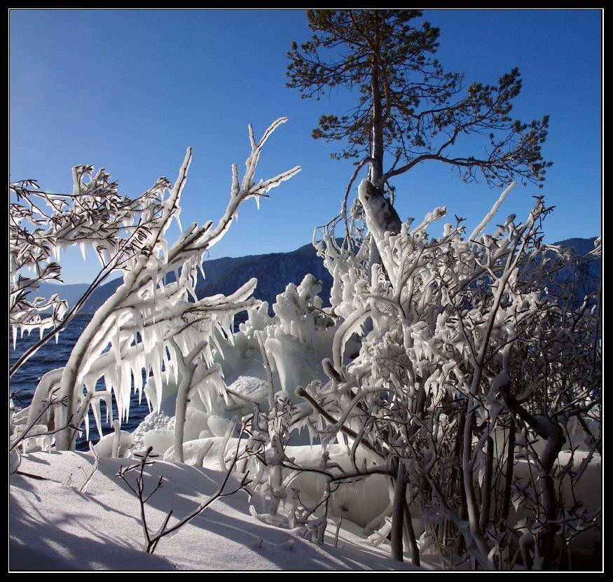 , Юрий Фролов