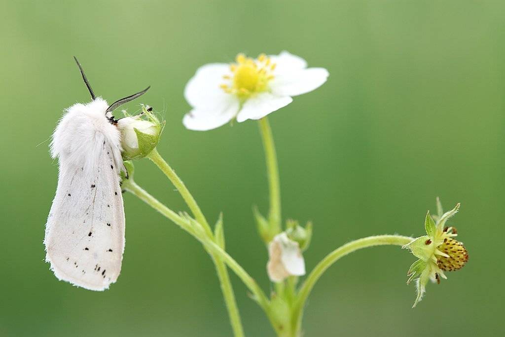 , Сергей Таланов