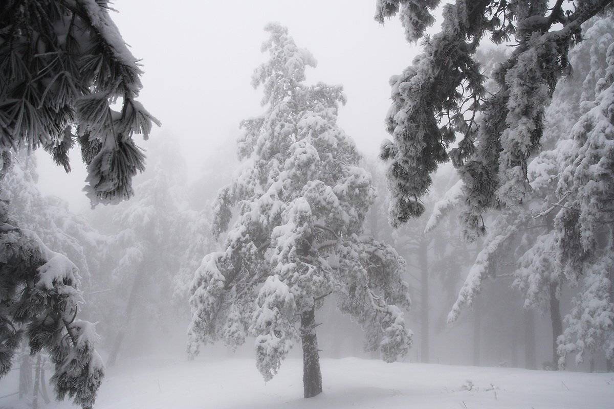 , Виталий Ра