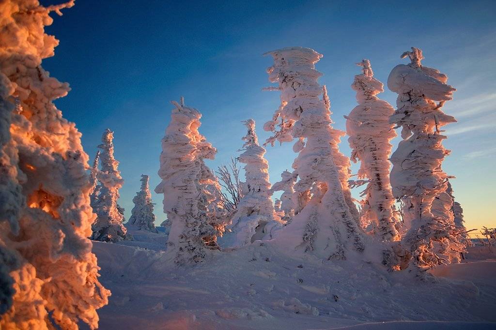 шерегеш, гора зеленая, гора мустаг, вечер, пихты, свет, тени, краски, горная шория, Валерий Пешков