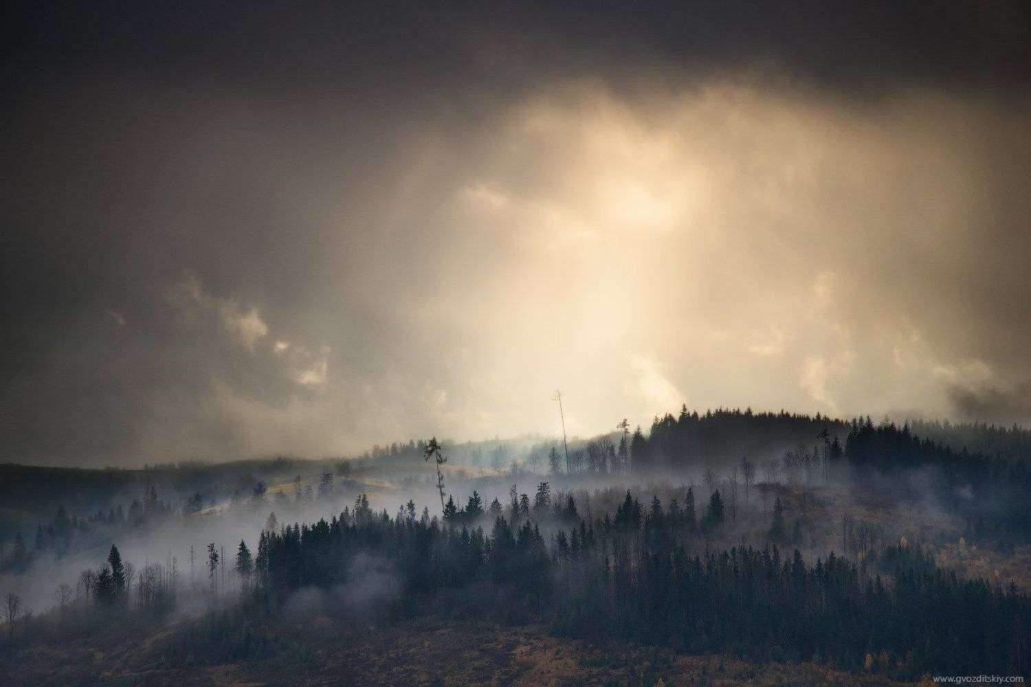 карпаты, осень, небо, лес, лучи, туман, Гвоздицкий Алексей