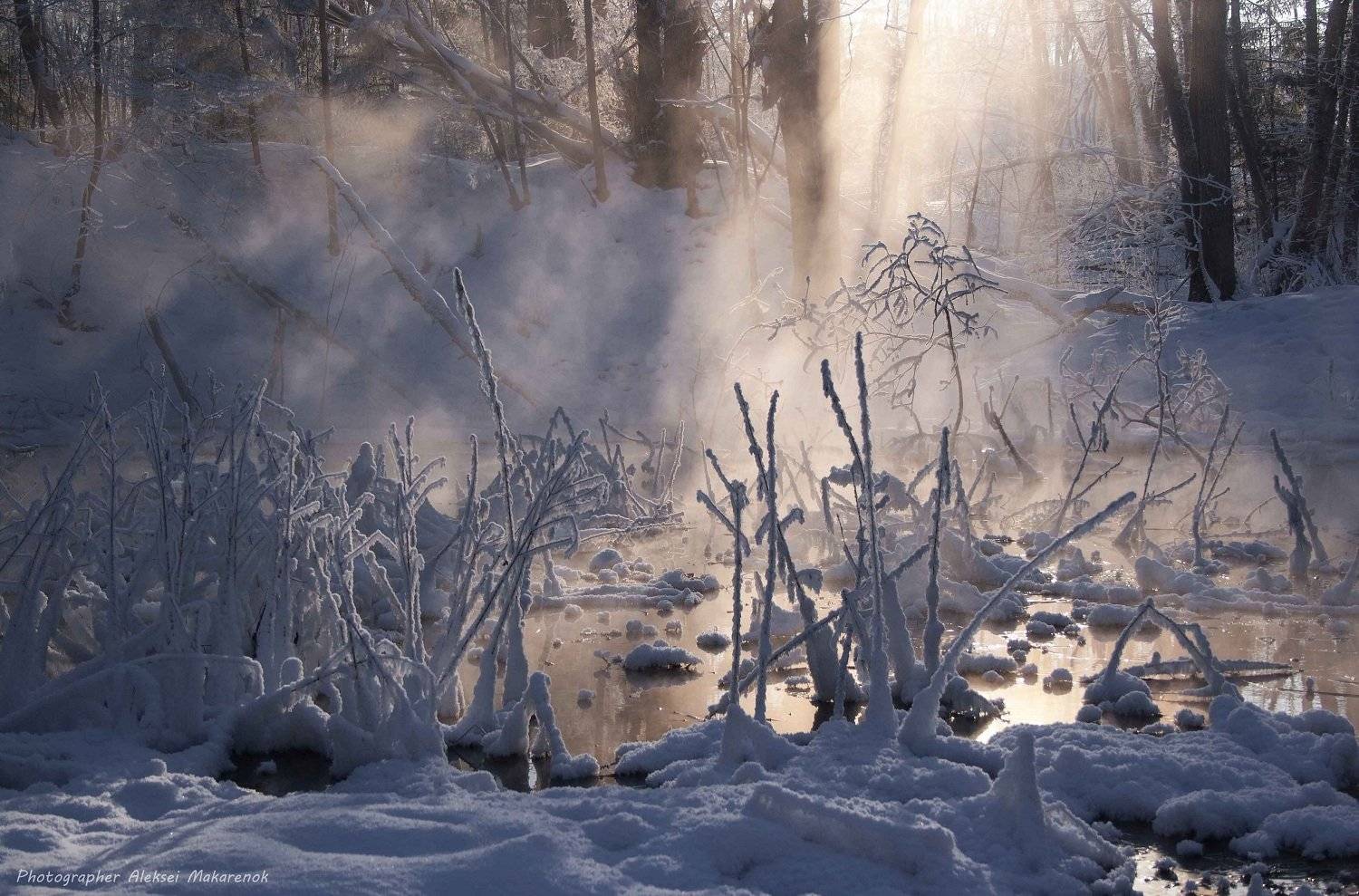 , ALEKSEI  MAKARENOK