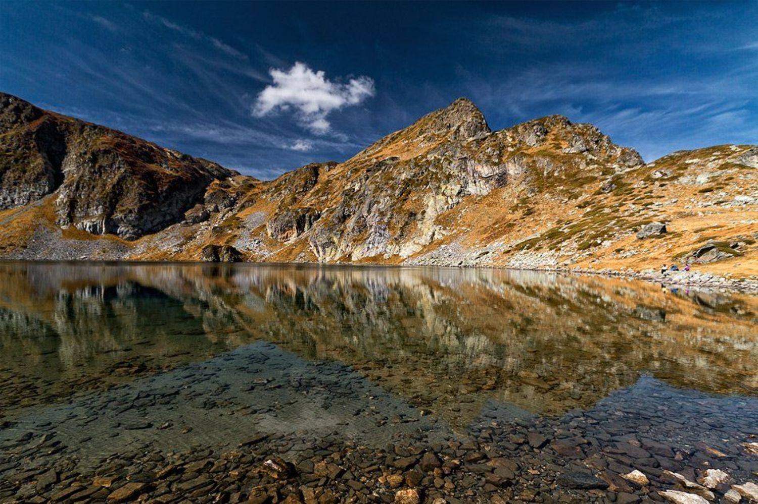 , Светозар Кръстев