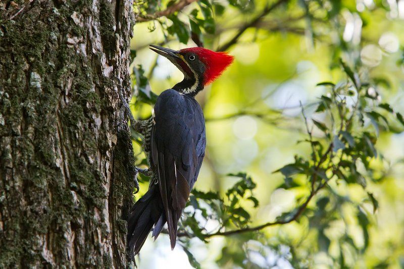 Модная причесочка фото превью