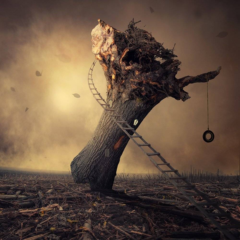 sky, reflection, bird, light, clouds, ground, manipulation, elephant, mounting, wheel, bag, feather, psd, spinner, tutorials, Caras Ionut