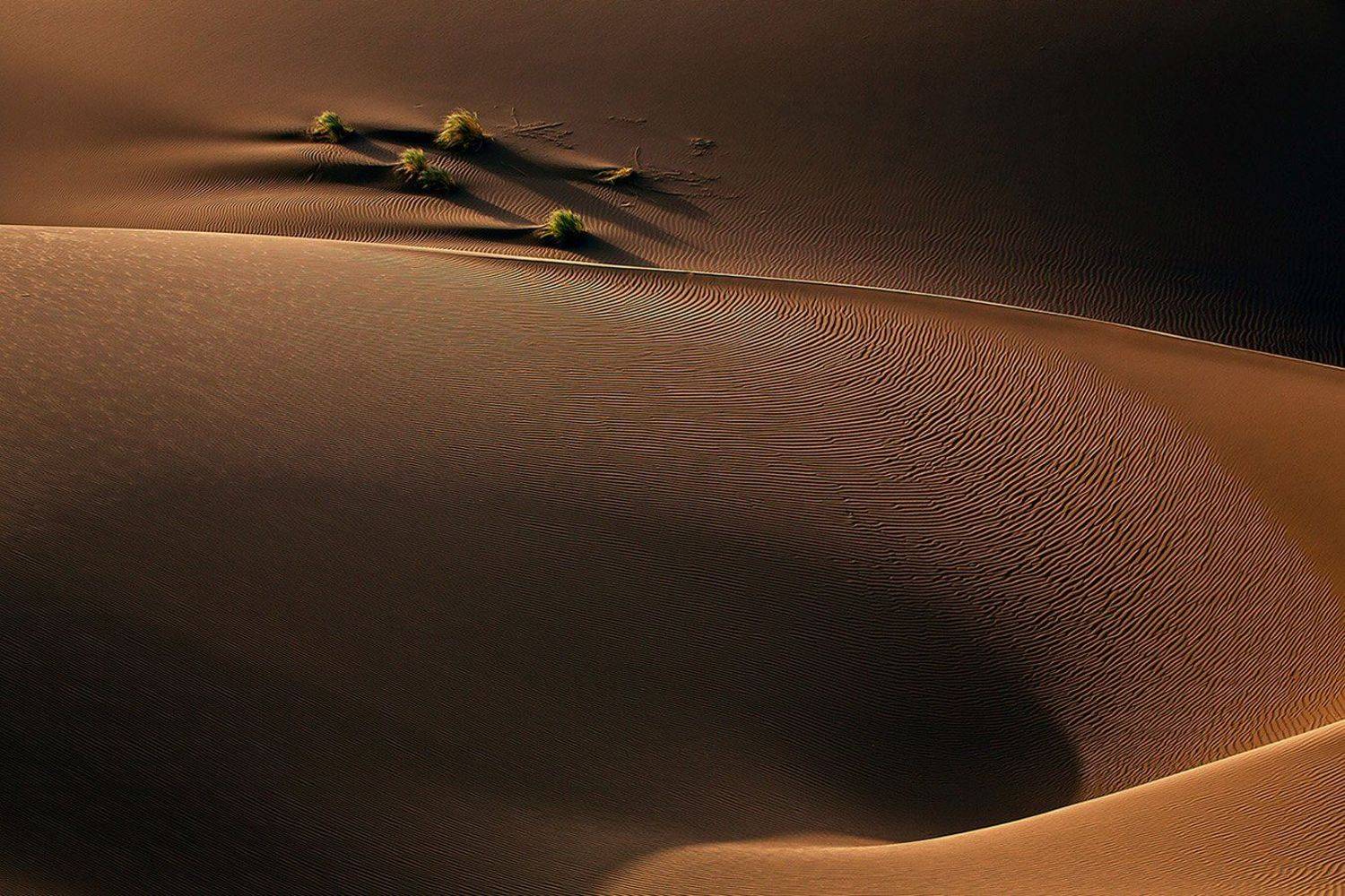 , Mohammadreza Momeni