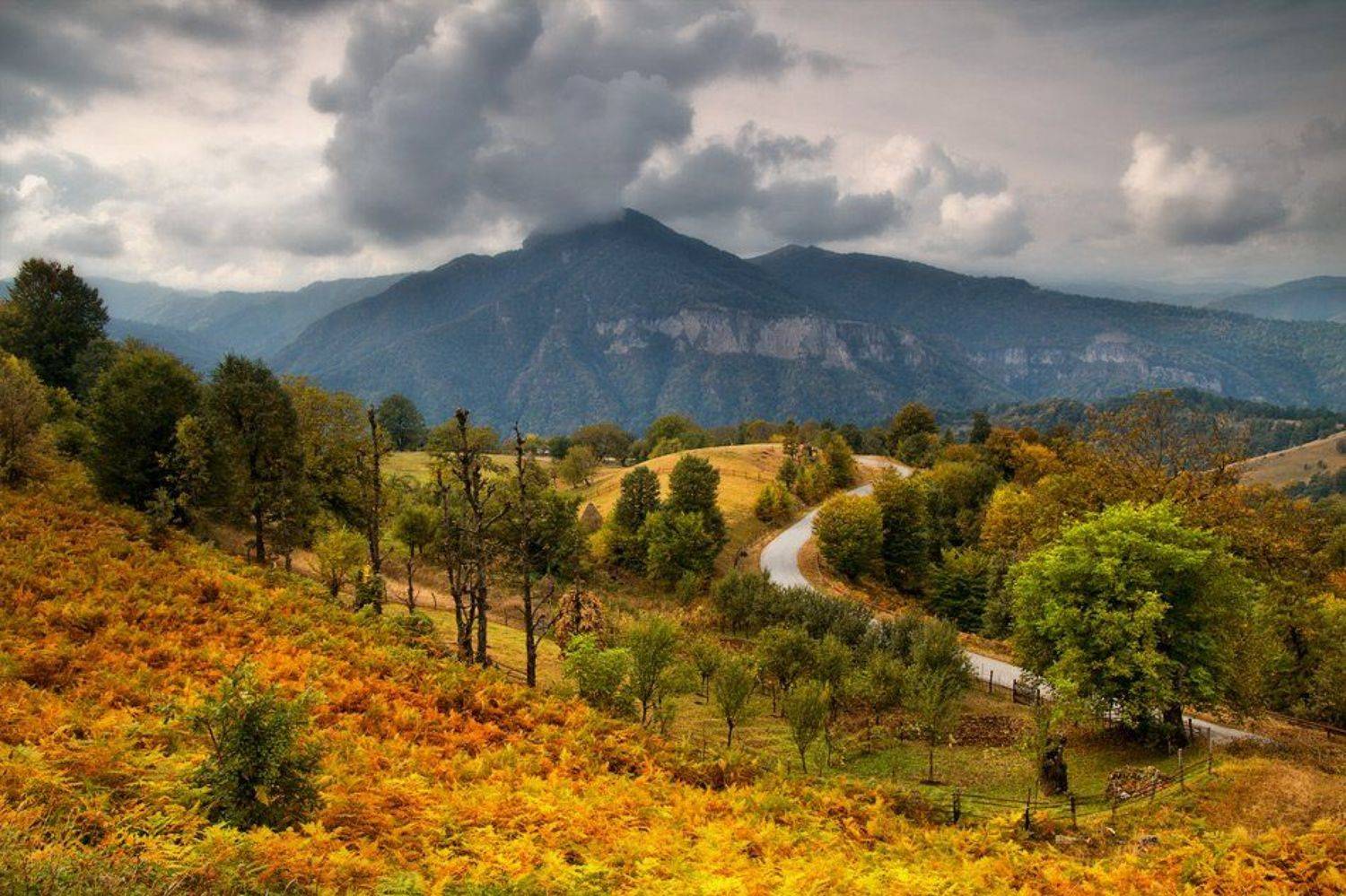 , Светозар Кръстев