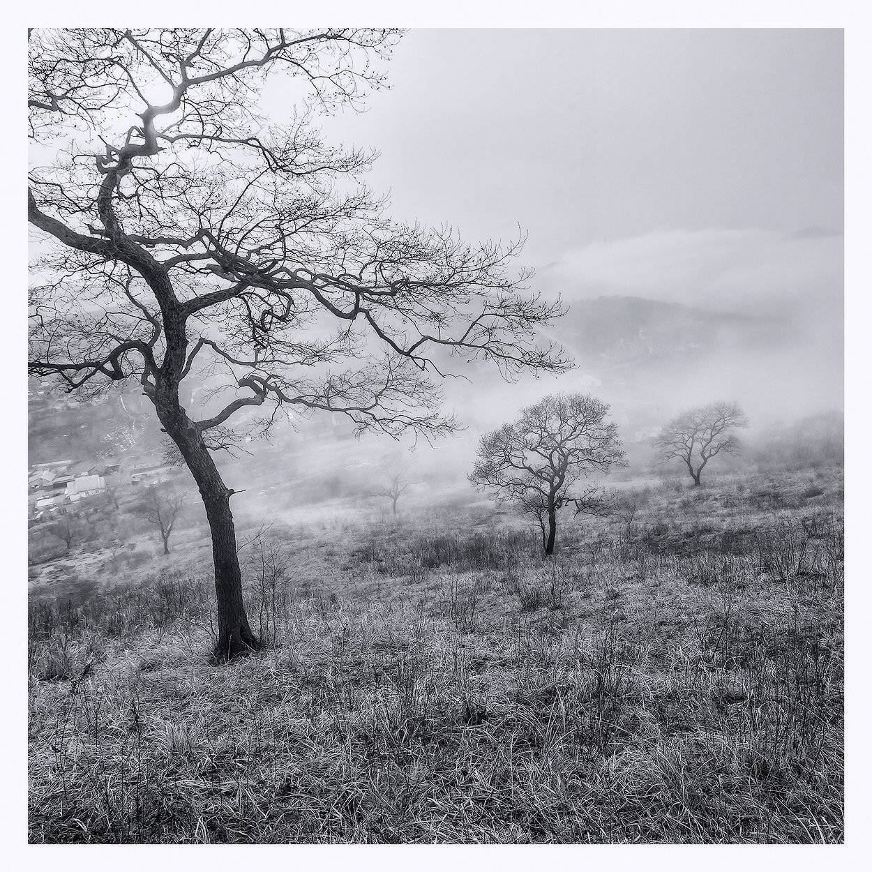 , Андрей Кровлин