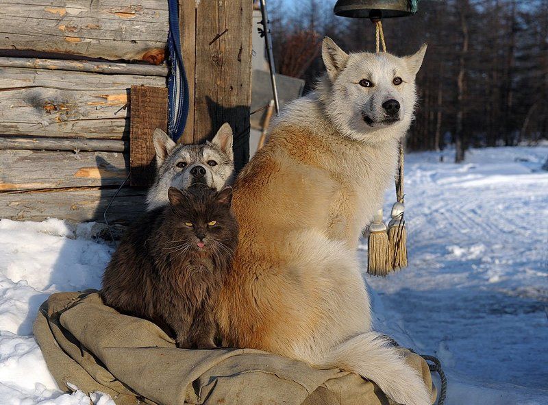 Ломая стереотипы... фото превью