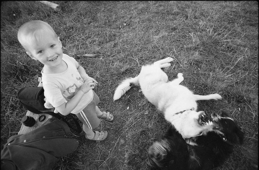 , Александр Савельев