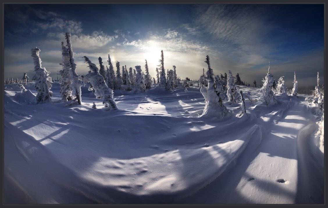 шория, шерегеш, зеленая, снег, елки, солнце, ярославский, виталий, Виталий из Н-ска