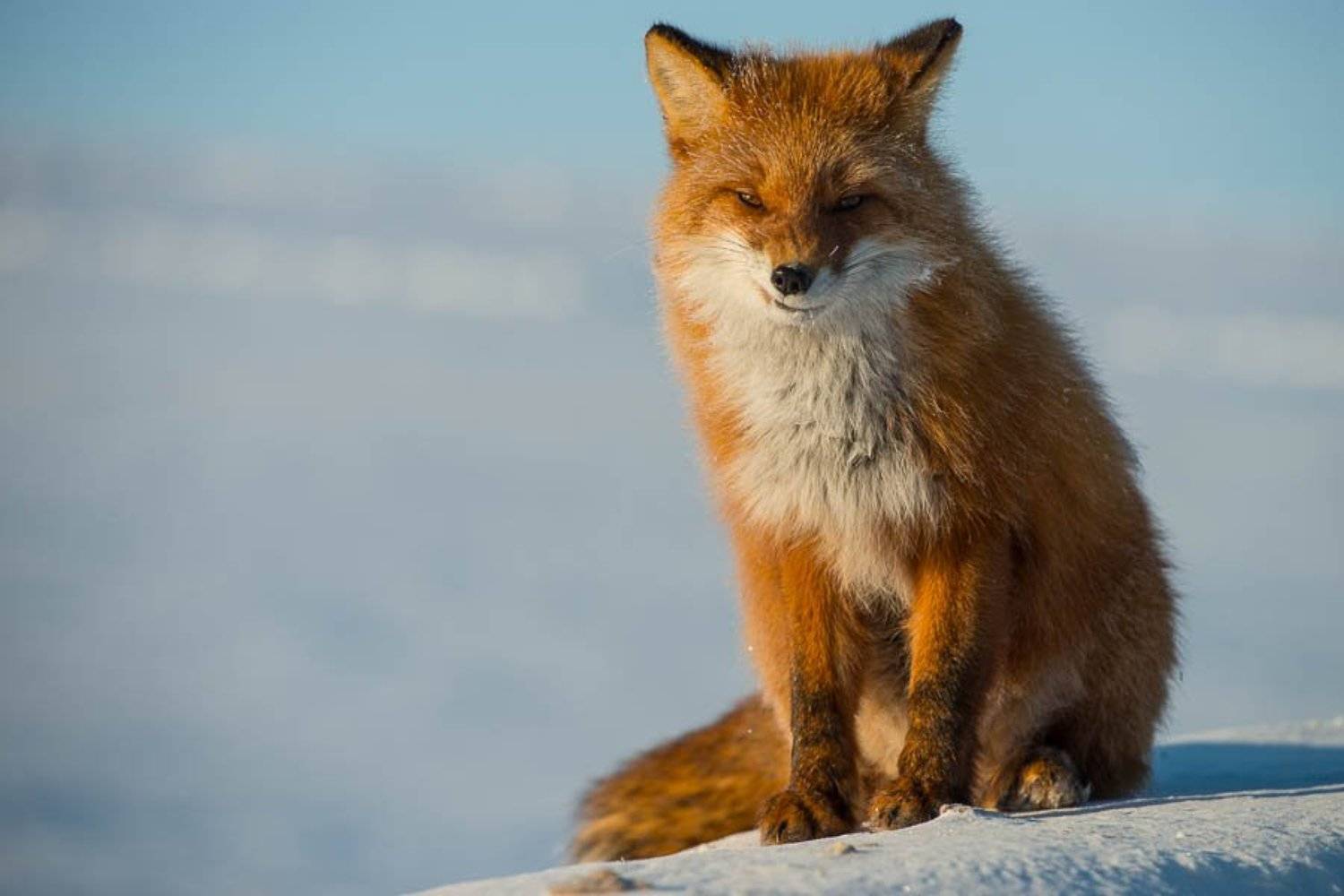 , Иван Кислов