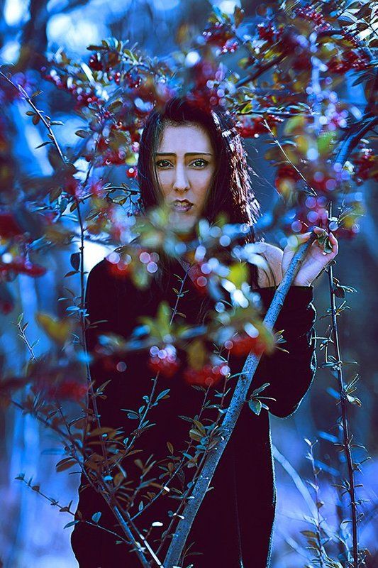 FDAN фото превью