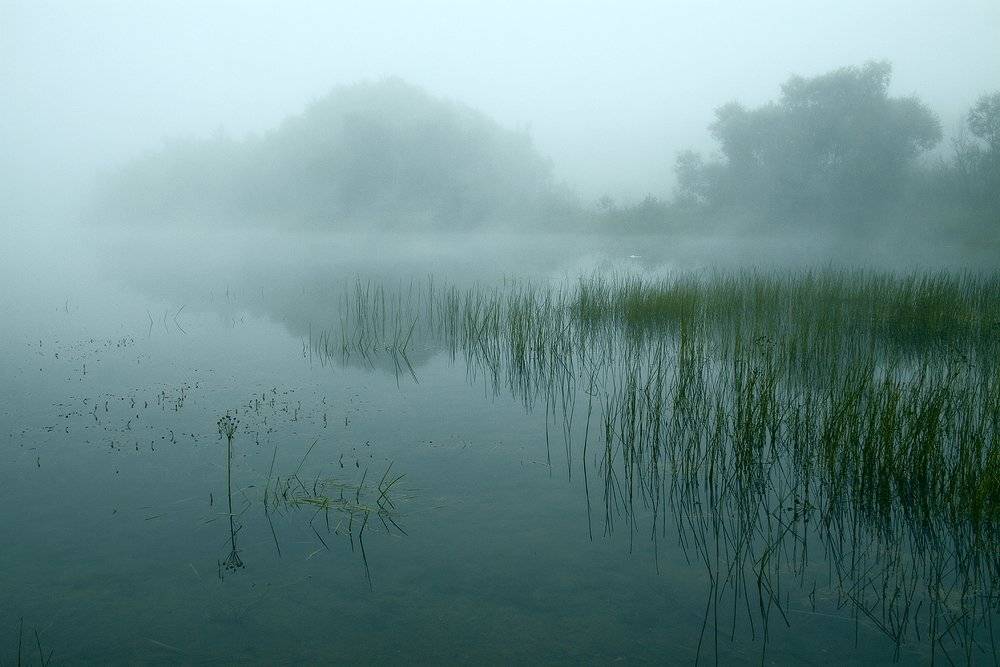 , Николай Морский