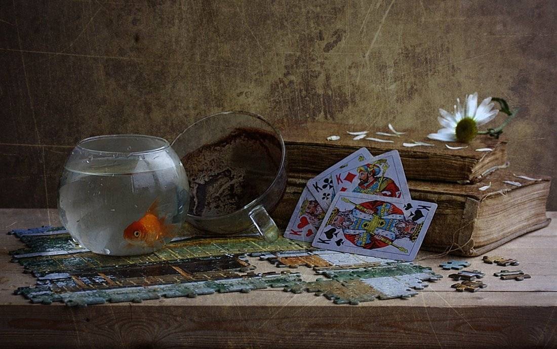 , Петрова Татьяна